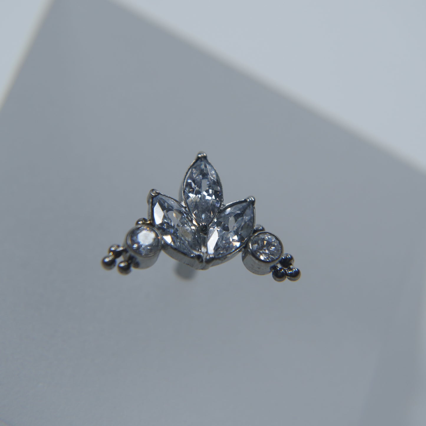 Ornamental Labret Branch