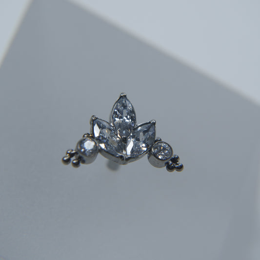 Labret Ornamental Ramo