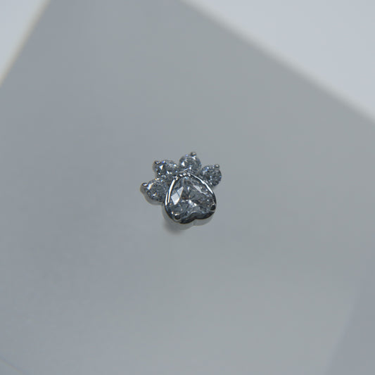 Labret Pata Reluzente