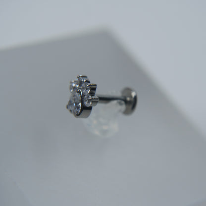 Labret Pata Reluzente