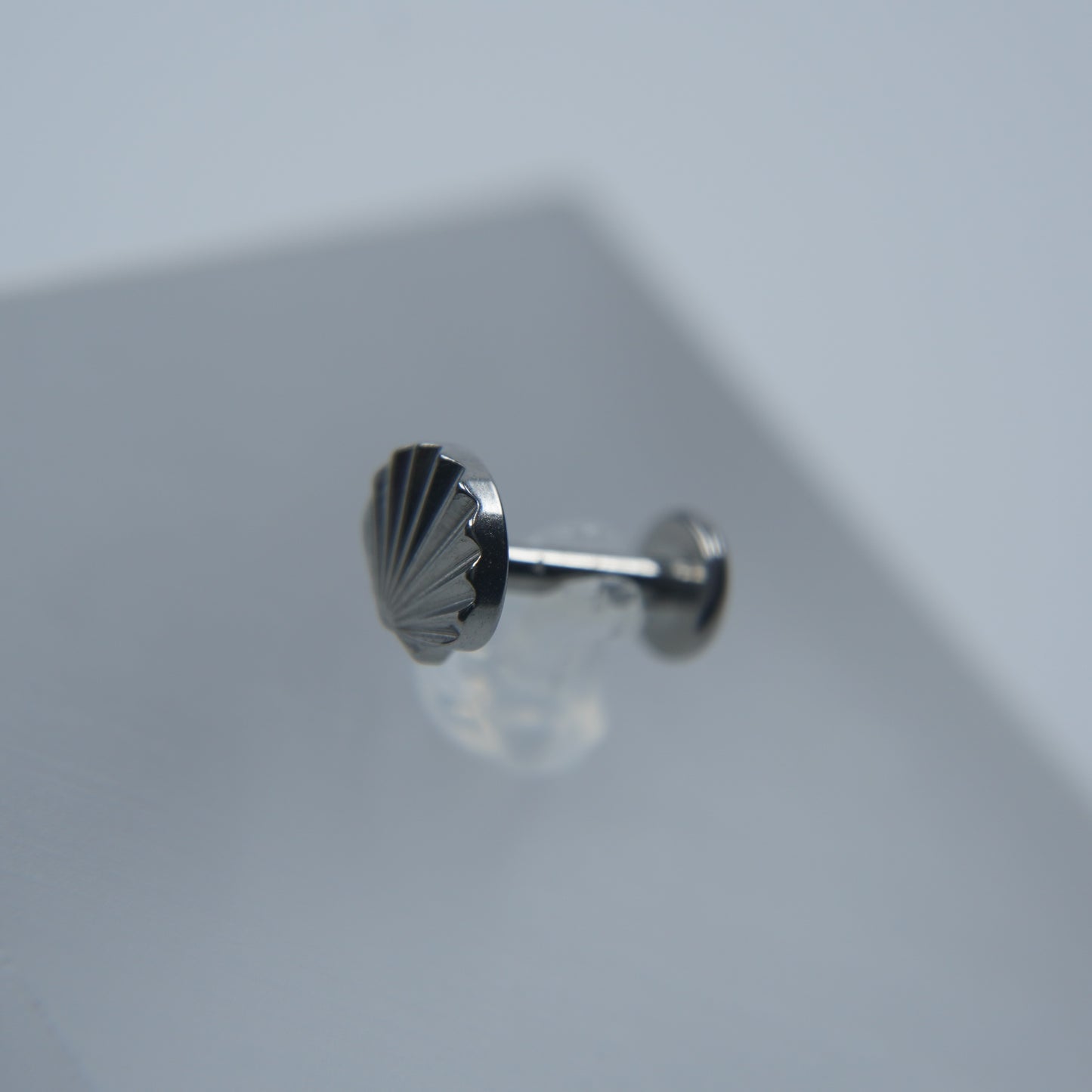 Labret Concha Raiada