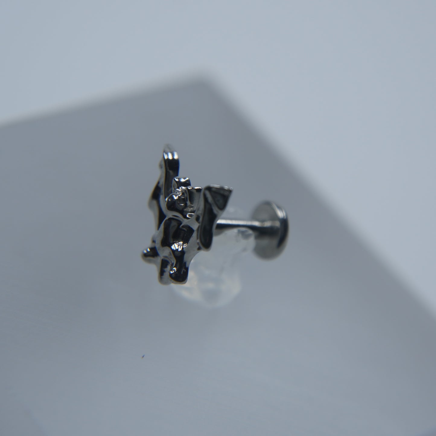Labret Asa Noturna