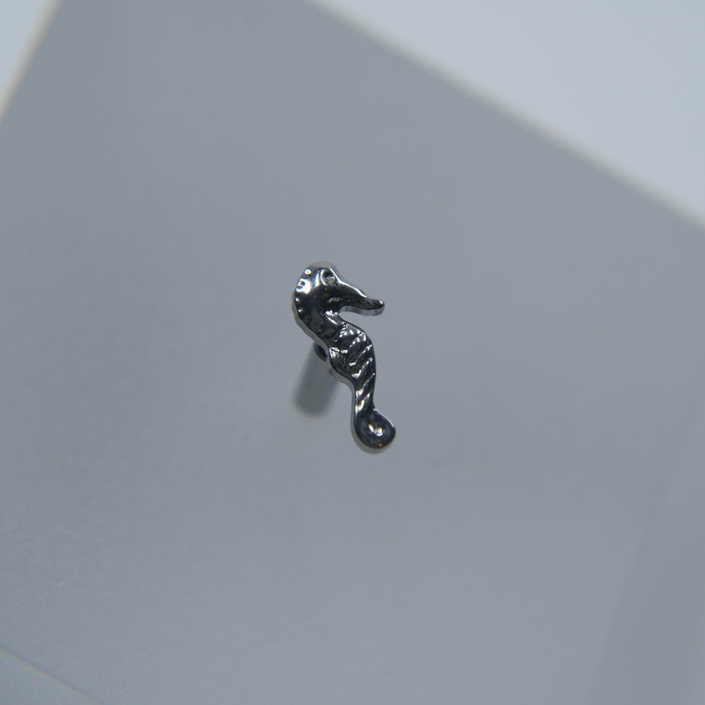 Labret Tesouro Marinho