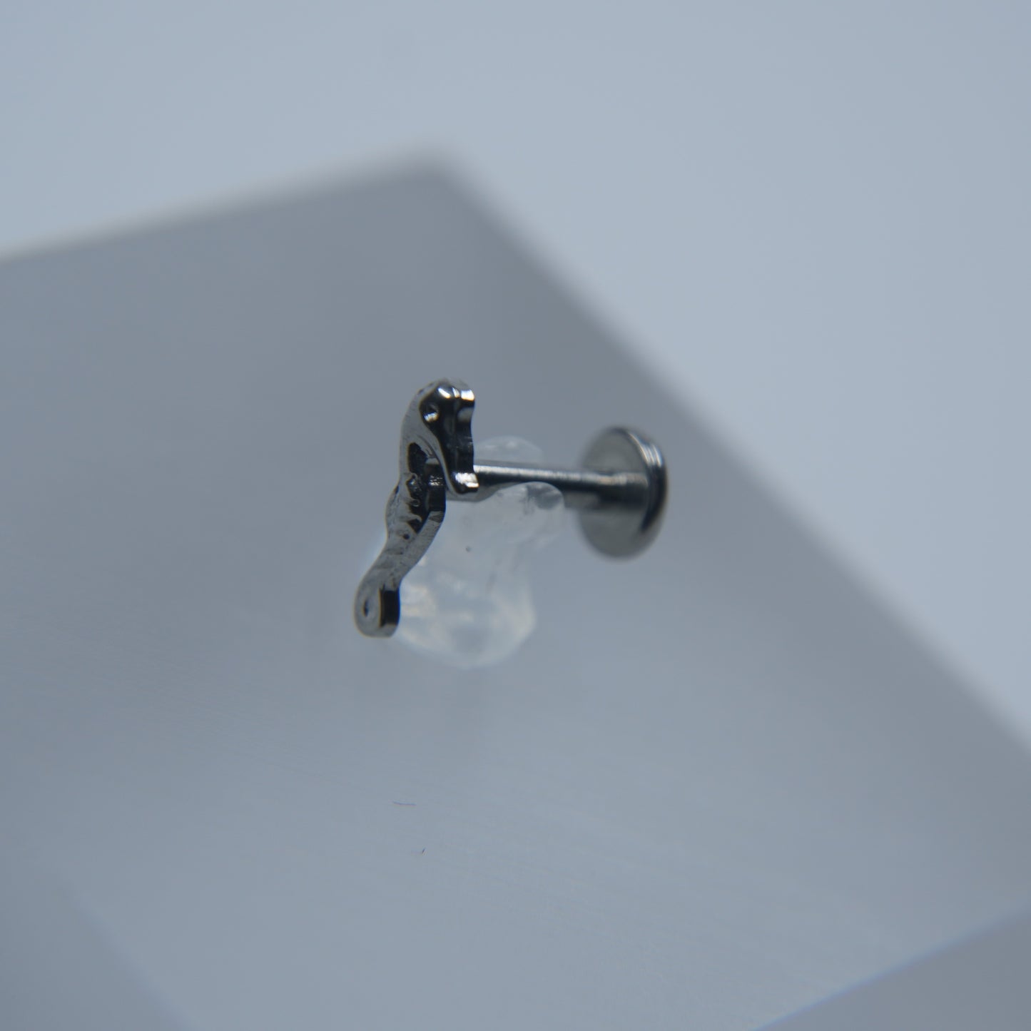 Labret Tesouro Marinho