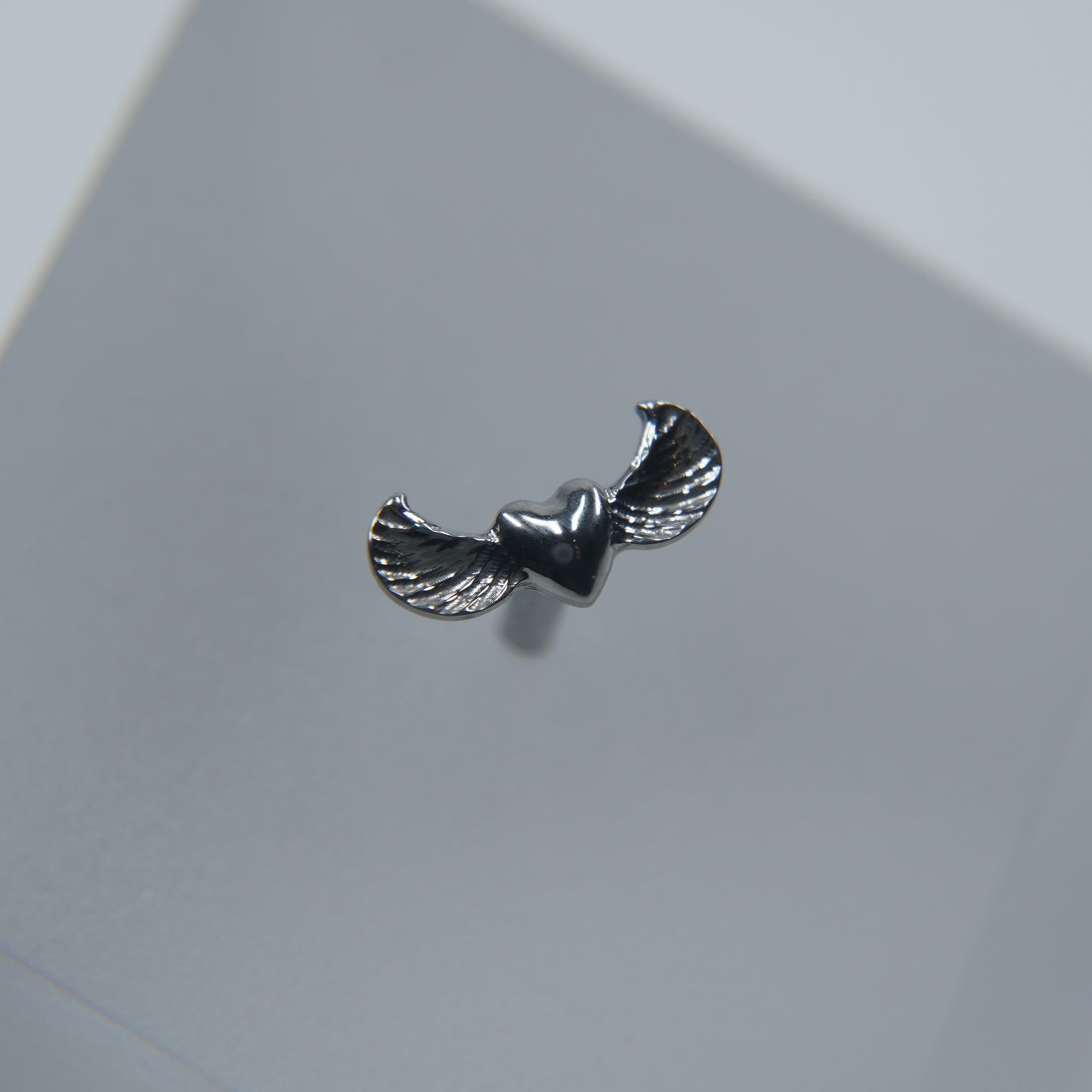 Labret Paixão Celestial