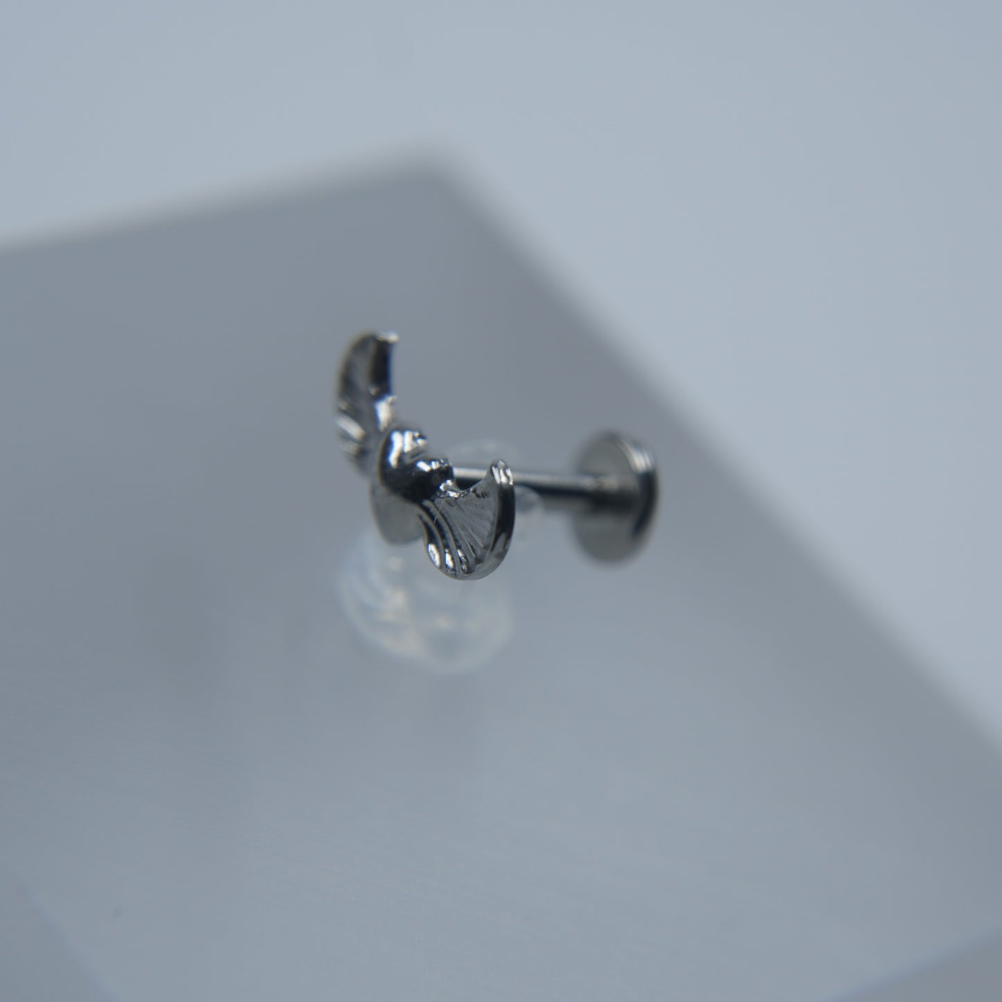 Labret Paixão Celestial